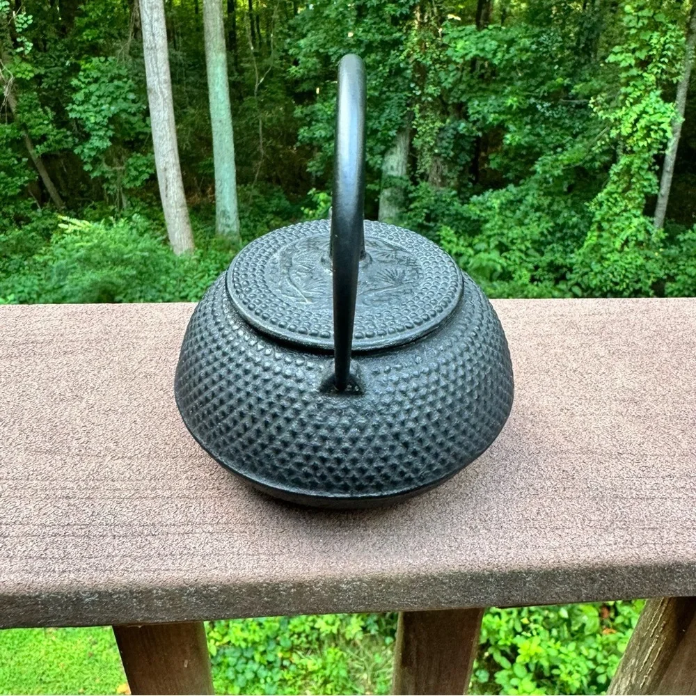 Japanese Cast Iron Arare Hobnail Tetsubin Style Teapot Infuser Black Made Japan